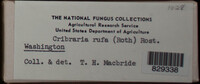 Image Associated With the Occurence